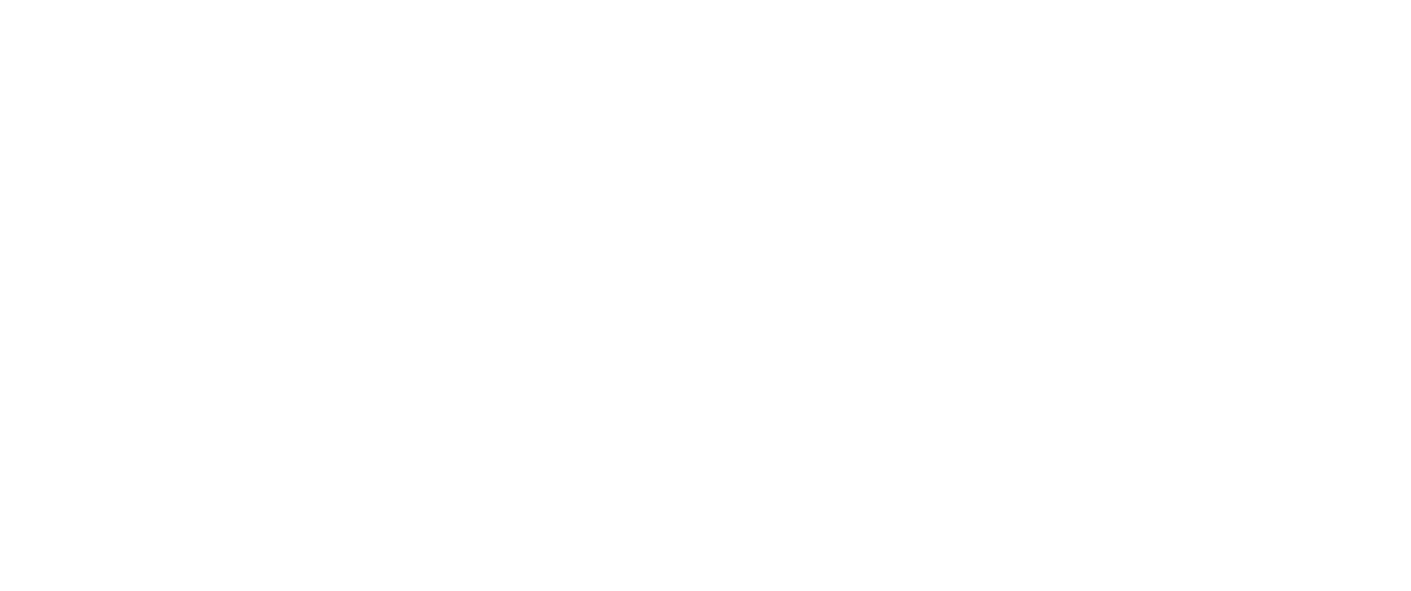 Our WordPress development expertise — Clyrix Digital